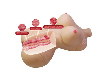 Masturbador Vagina y Ano 5 kg Masturbador Vagina y Ano 5 kg