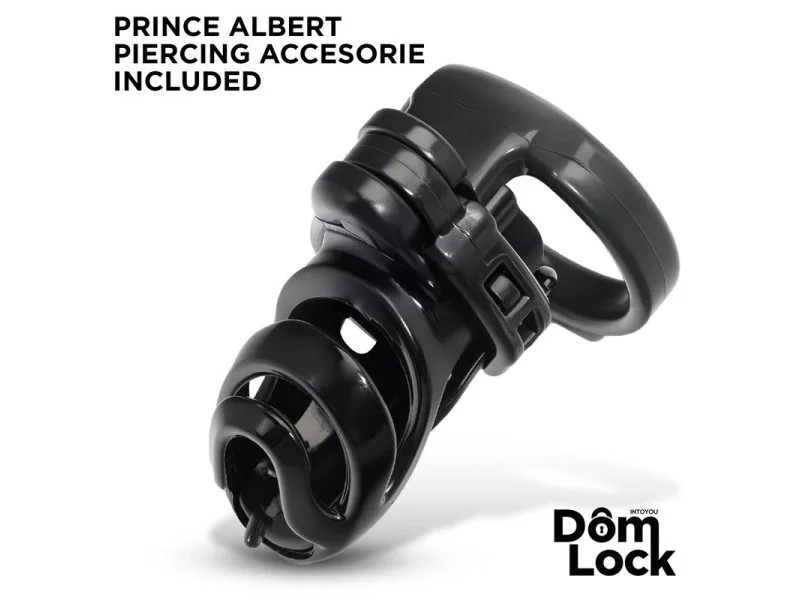 Detention Jaula para el Pene con Accesorio para Prince Albert