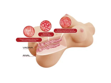 Masturbador Vagina y Ano 19kg Masturbador Vagina y Ano 19kg