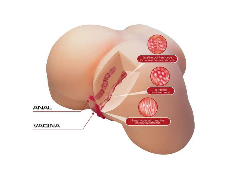 Masturbador Ano y Vagina 54 kg
