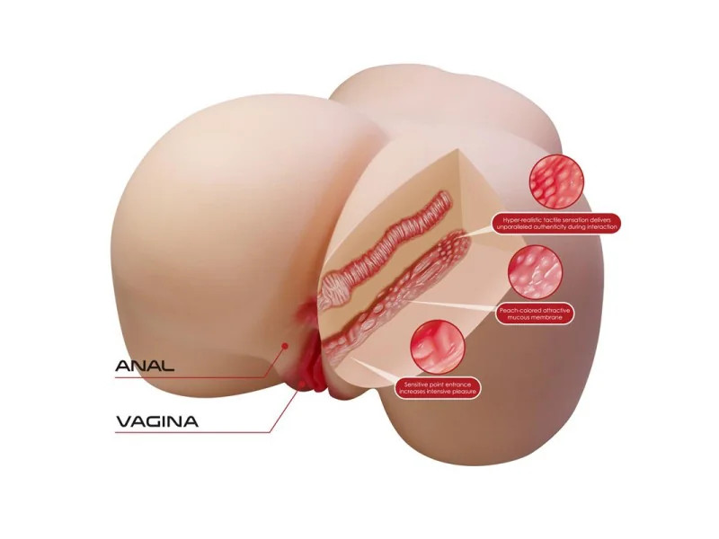Masturbador Vagina y Ano 11kg