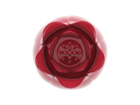 Flower Wand Cabezal para Masajeador Power Wand