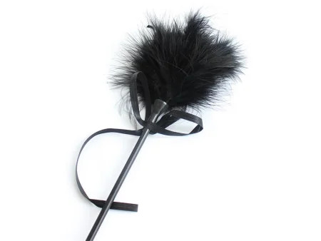 Plumero y Fusta 2 en 1 49 cm Negro