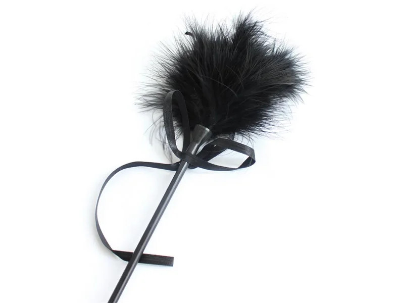 Plumero y Fusta 2 en 1 49 cm Negro