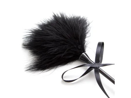 Plumero y Fusta 2 en 1 49 cm Negro