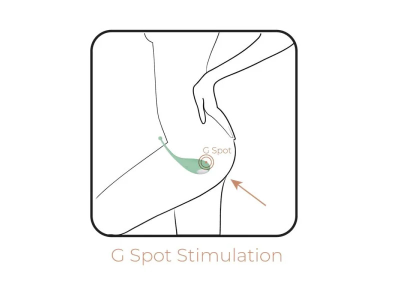 Huevo Vibrador Palpitation Mint con APP