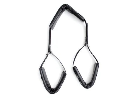 Restricciones Supremacy