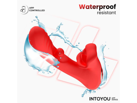 Franky Vibrador con Biting y Bola Rotativa con APP