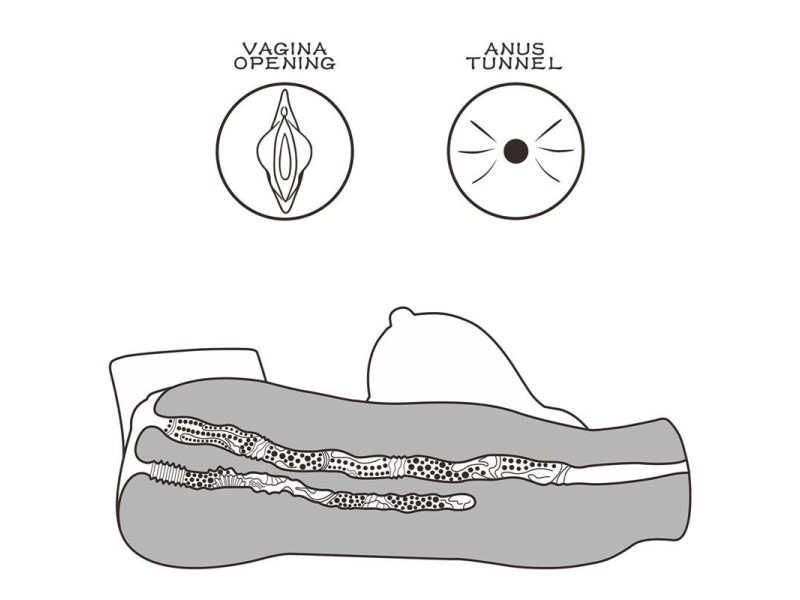 Masturbador Streetgirls 5 16 kg
