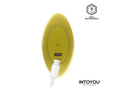 Auria Plug Anal con Vibracion y Control Remoto USB C