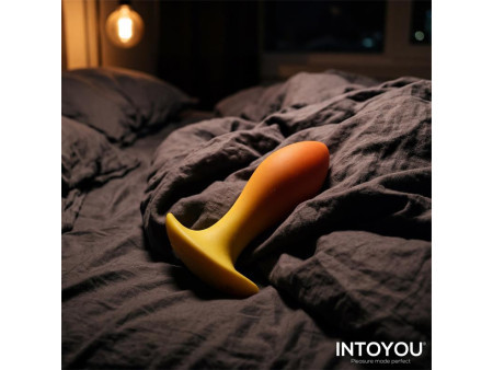 Auria Plug Anal con Vibracion y Control Remoto USB C