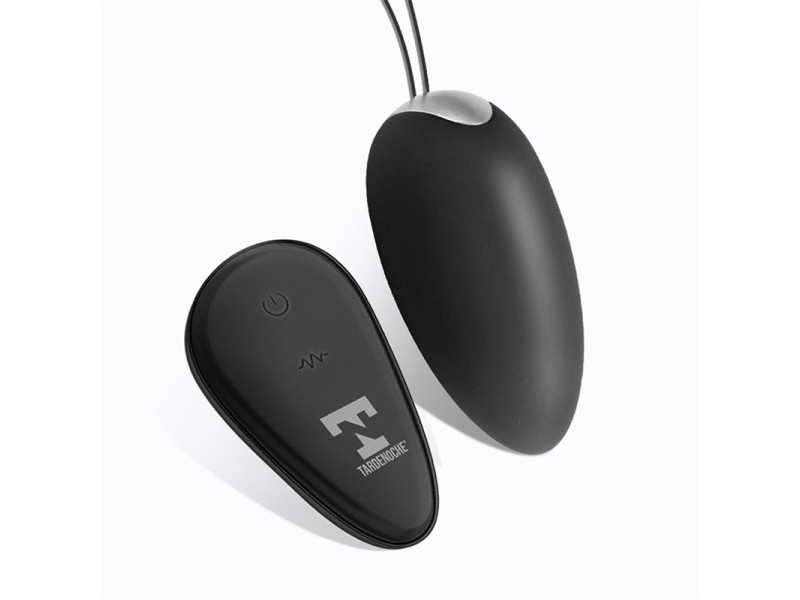 Ralan Huevo Vibrador con Control Remoto USB Magnetico
