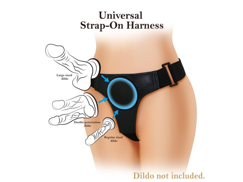 Arnes Universal