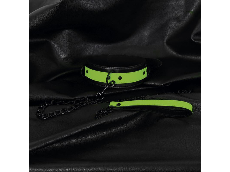 Collar con Correa que Brilla en la Oscuridad