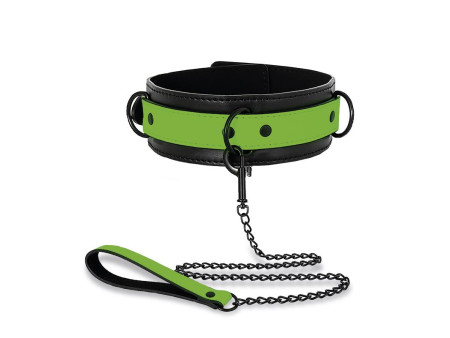 Collar con Correa que Brilla en la Oscuridad