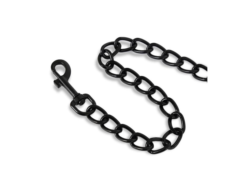 Collar con Correa que Brilla en la Oscuridad