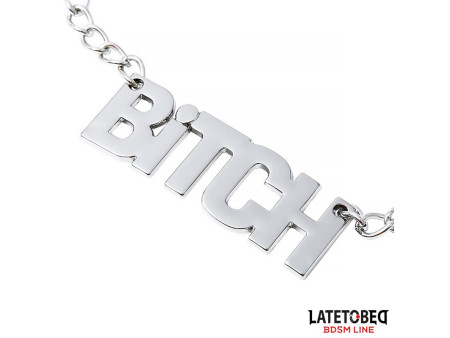 Pinzas para Pezones con Cadena Bitch Pinzas para Pezones con Cadena Bitch