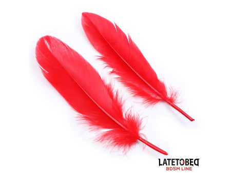 Set de 3 Piezas Antifaz Plumas y Esposas