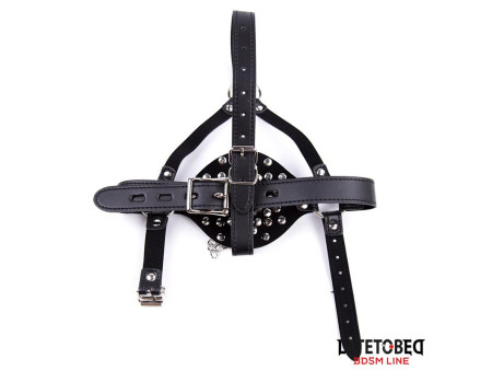 Arnes Facial con Accesorio Desmontable Toilet Lid Ajustable