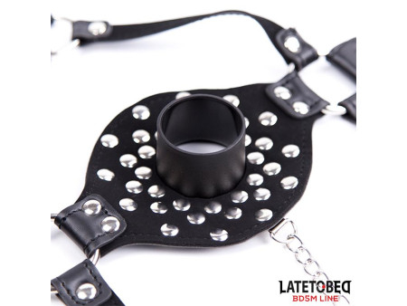 Arnes Facial con Accesorio Desmontable Toilet Lid Ajustable