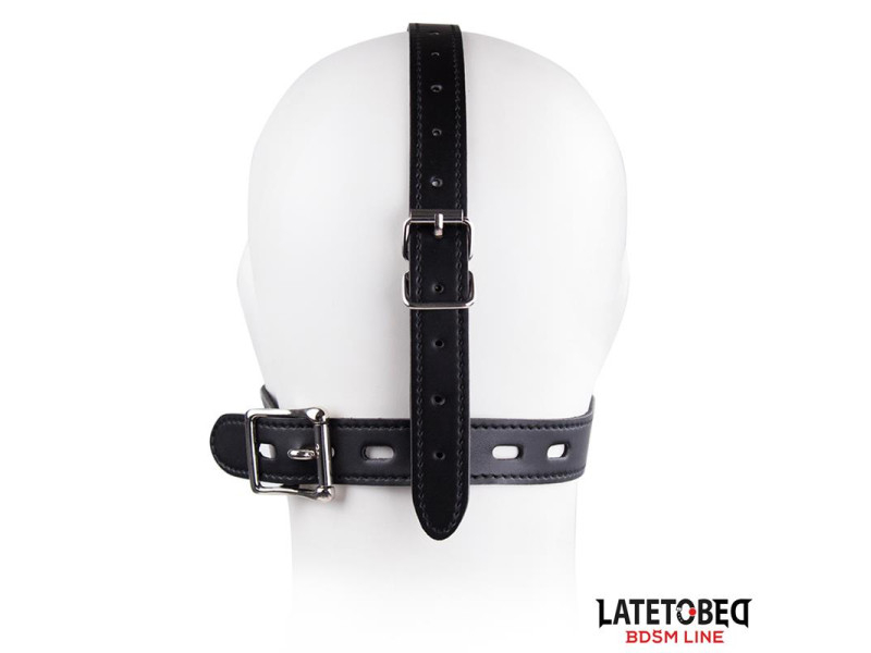 Arnes Facial con Accesorio Desmontable Toilet Lid Ajustable