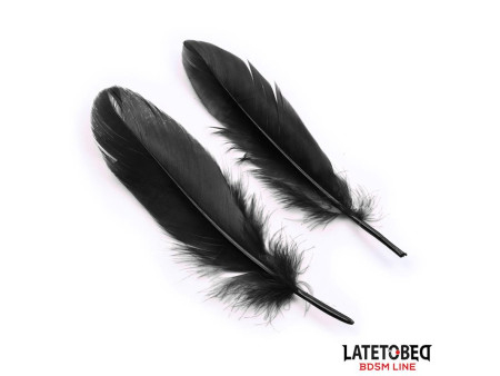 Set de 3 Piezas Antifaz Esposas y Plumas Negro