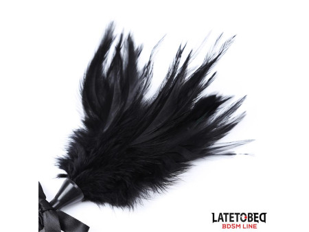Estimulador de Plumas 35 cm Estimulador de Plumas 35 cm