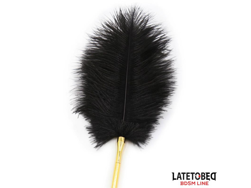 Estimulador de Plumas 41 cm