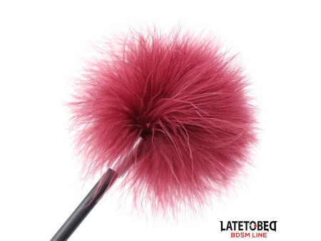 Estimulador de Plumas con Pala