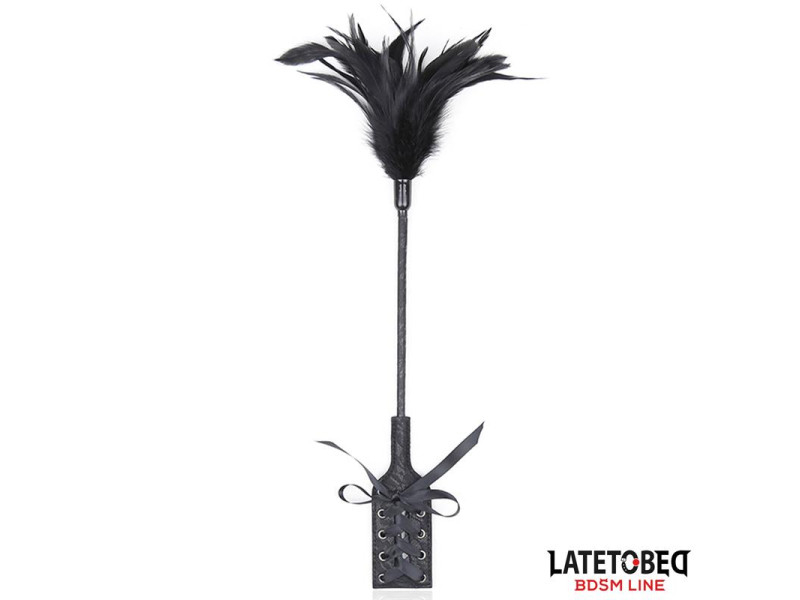 Multi Feathers Tickler and Lace Ribbon Paddle Comb