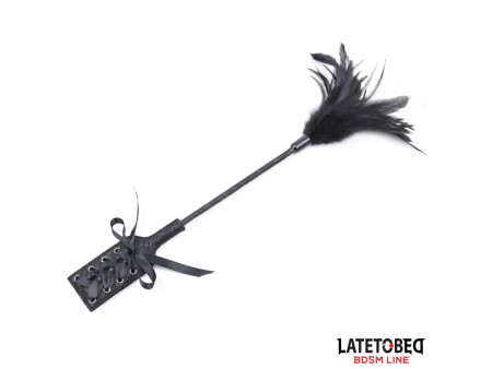 Multi Feathers Tickler and Lace Ribbon Paddle Comb