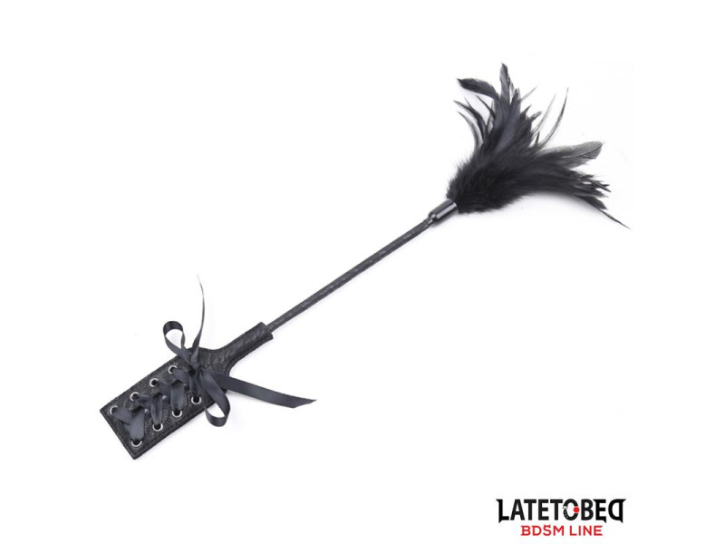 Multi Feathers Tickler and Lace Ribbon Paddle Comb