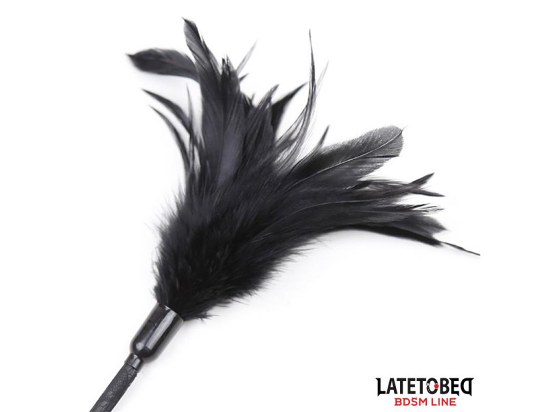 Multi Feathers Tickler and Lace Ribbon Paddle Comb