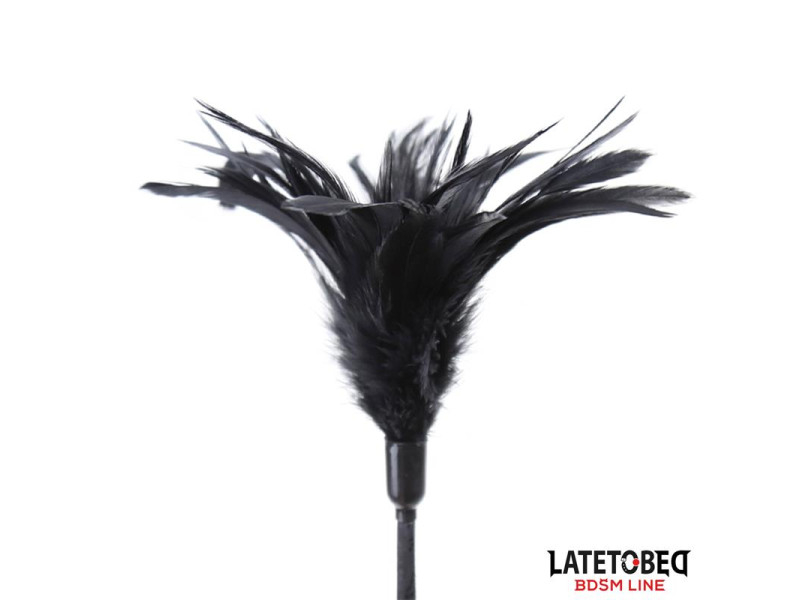 Multi Feathers Tickler and Lace Ribbon Paddle Comb