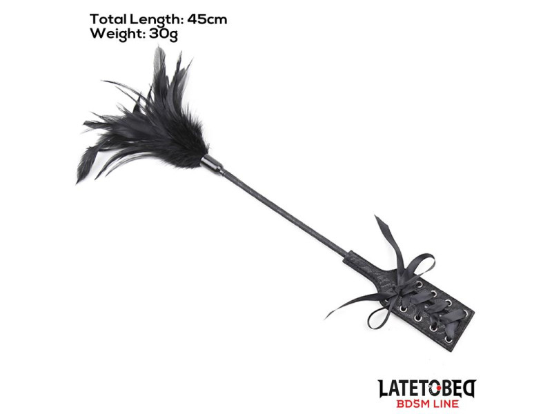 Multi Feathers Tickler and Lace Ribbon Paddle Comb