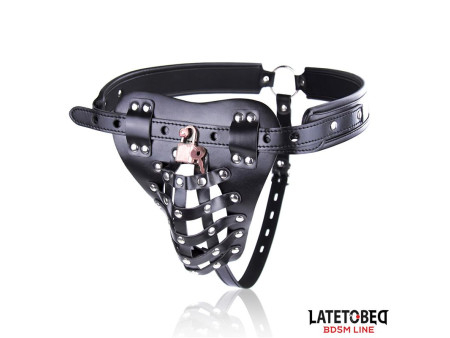 Cinturon de Castidad Masculino con Candado Ajustable Cinturon de Castidad Masculino con Candado Ajustable