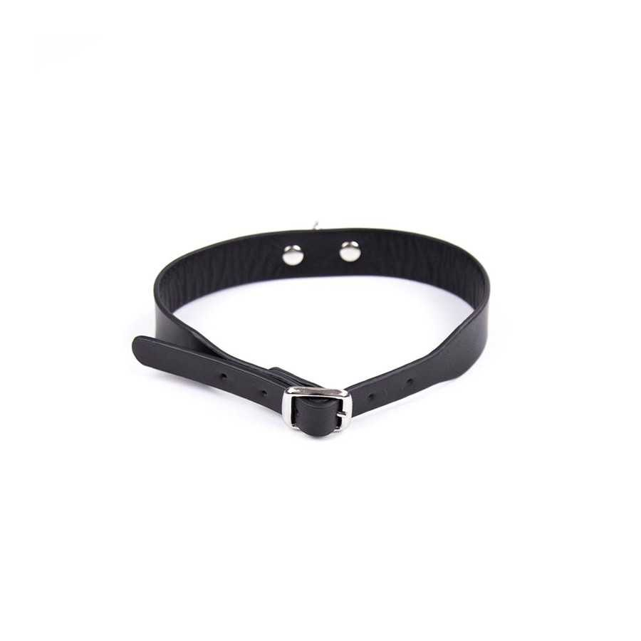 Collar Ajustable 43 cm Negro