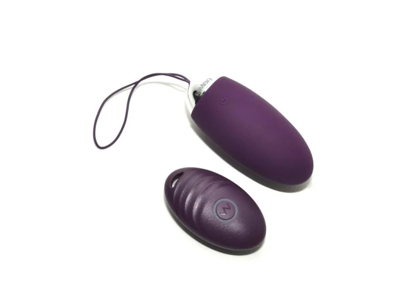 Huevo Vibrador con Control Remoto Venice Purpura Huevo Vibrador con Control Remoto Venice Purpura