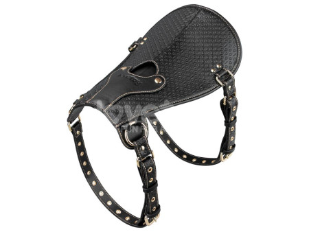 Rebellion Reign Dildo Saddle Silla de Montar