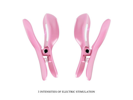 Surprise Box Huevo Vibrador y Pinzas para Pezones con Electro Estimulacion Rosa Surprise Box Huevo Vibrador y Pinzas para Pezones con Electro Estimulacion Rosa