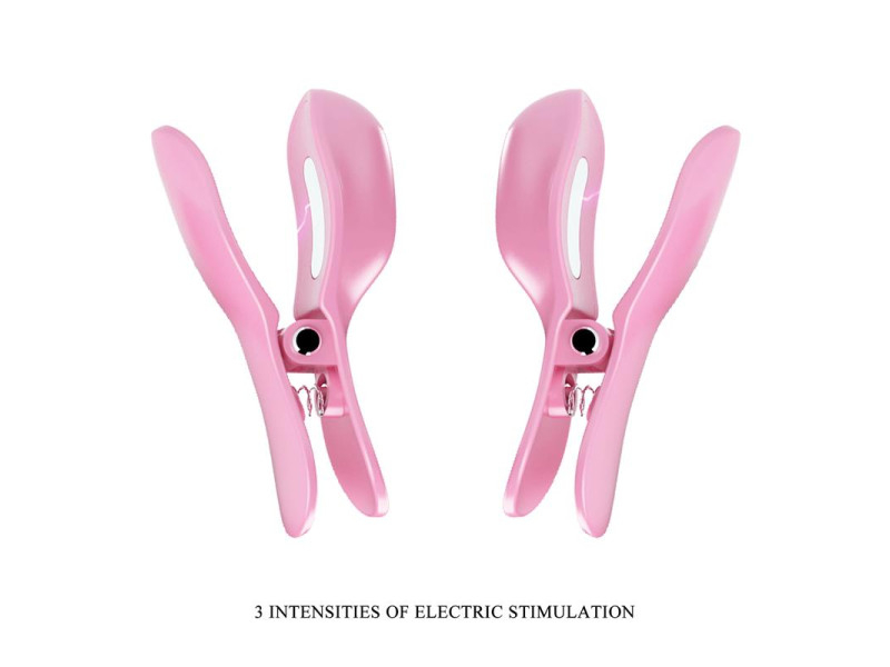 Surprise Box Huevo Vibrador y Pinzas para Pezones con Electro Estimulacion Rosa