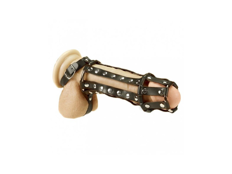 Arnes Completo para Pene y Testiculos