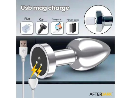 Dimpor Plug Anal Cromado con Vibracion USB Magnetico Talla S