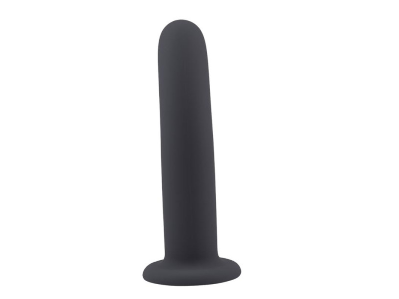 Arnes con Dildo Raw Recruit Talla L Negro
