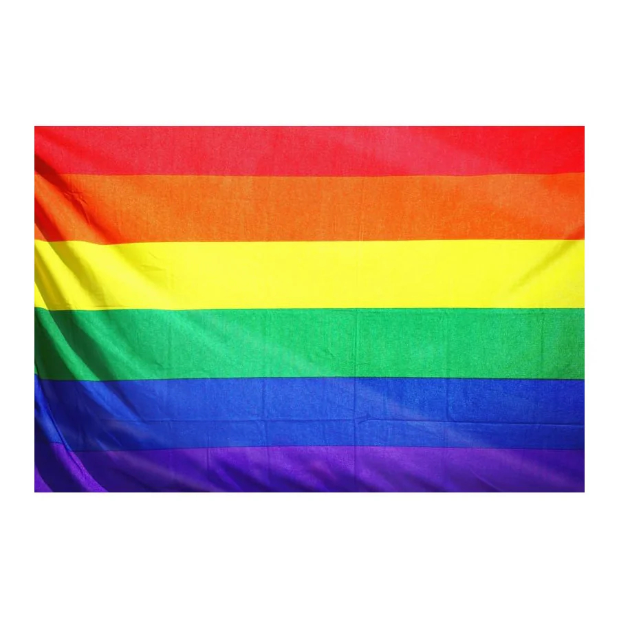 Bandera Orgullo LGBT 90 cm