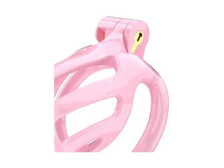 Jaula para el Pene PC02 Rosa Jaula para el Pene PC02 Rosa