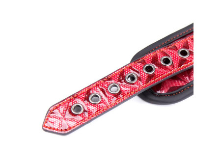 Collar con Correa Ajustable Diamond Cuero Vegano Collar con Correa Ajustable Diamond Cuero Vegano
