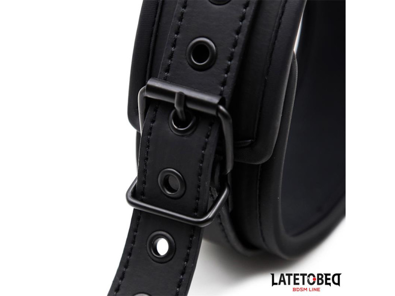 Set Collar y Correa Neopreno Negro