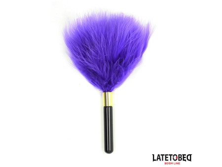 Plumero Mini Purpura 18cm