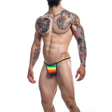 C4M12 Briefkini Arcoiris Rainbow